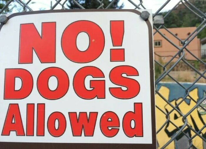 Absurd sign saying no dogs allowed posted on a fence with graffiti in the background, shared in a Facebook group.