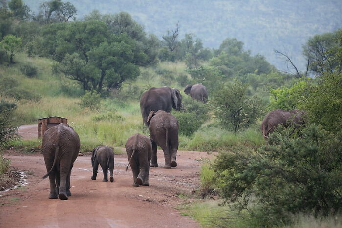 30 Hobbies Clearly Showing People Doing Them Are Insanely Rich, As Shared In This Online Community