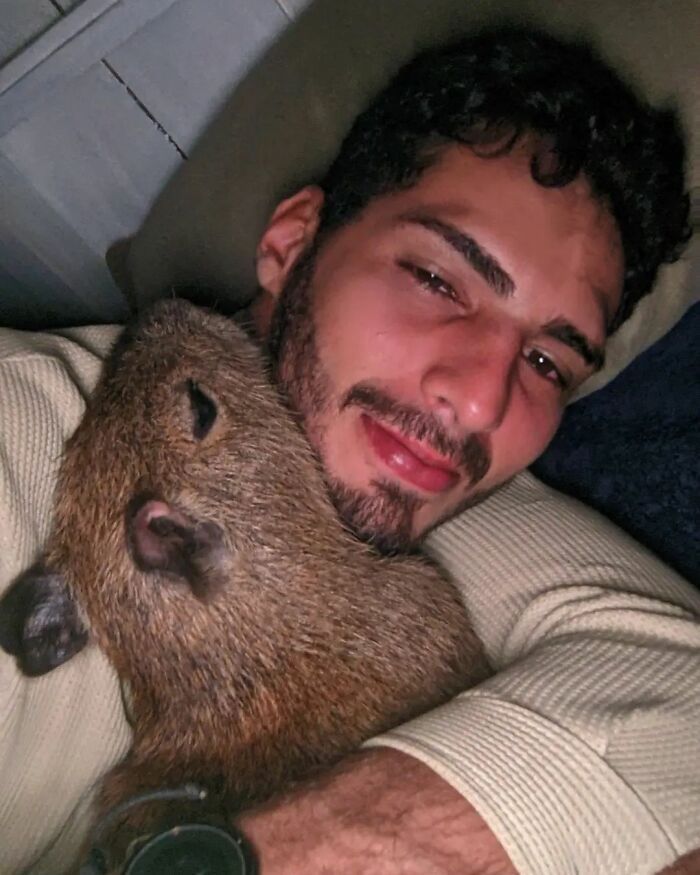 This Man From Brazil Who Lives On A Farm Shares A Beautiful Bond With A Rescued Capybara