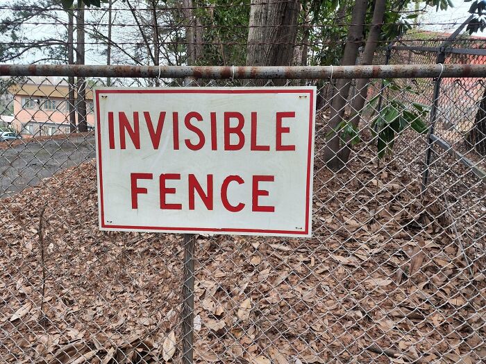 Sign reading invisible fence attached to metal chain-link fence outdoors among autumn leaves, absurd funny sign.