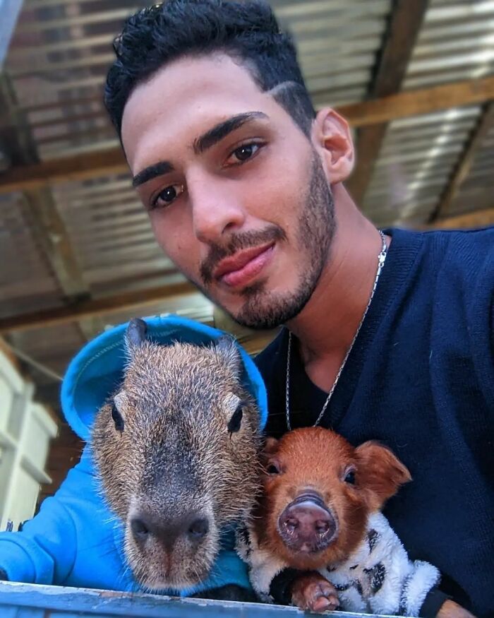 This Man From Brazil Who Lives On A Farm Shares A Beautiful Bond With A Rescued Capybara