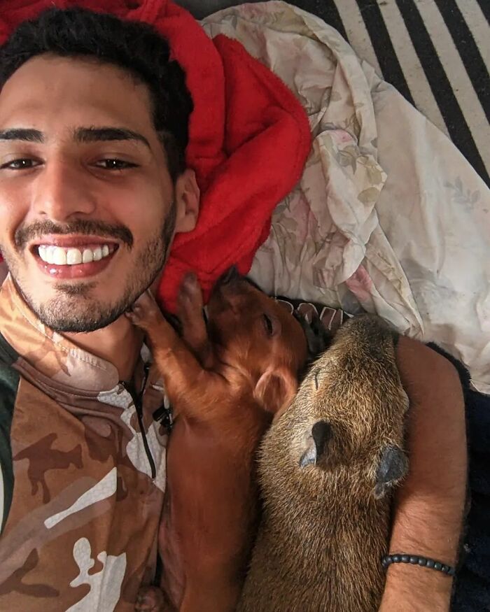 This Man From Brazil Who Lives On A Farm Shares A Beautiful Bond With A Rescued Capybara