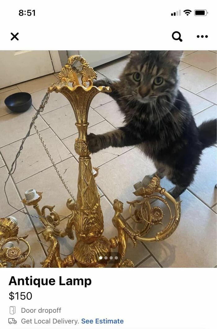 Facebook-Marketplace-Shaming-Pics