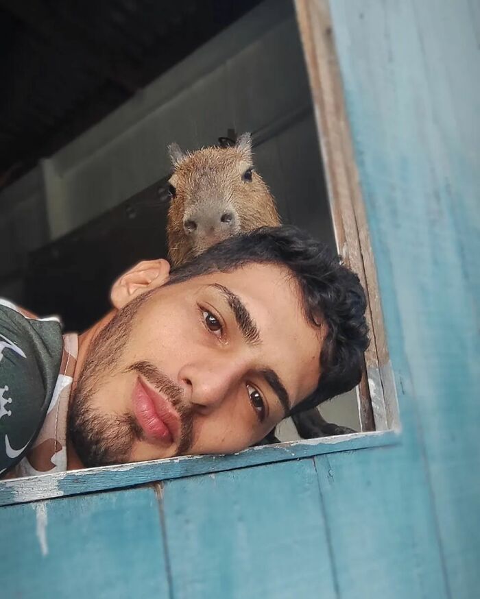 This Man From Brazil Who Lives On A Farm Shares A Beautiful Bond With A Rescued Capybara