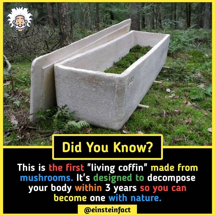 Interesting-Facts-Einsteinfact