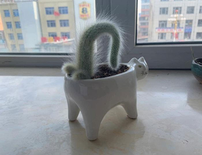 This Facebook Page Shares Images And Memes That Are Full Of Hilarious And Bizarre Things, Here Are 50 Of The Best Ones