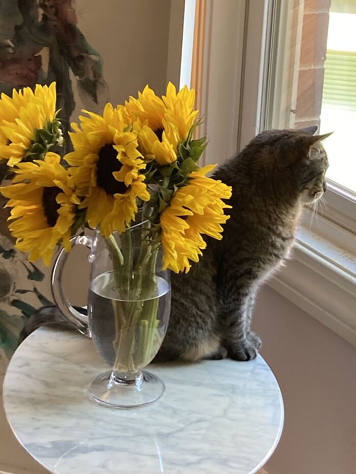 Nini, The Ruler Of The Universe (If You Believe Her)