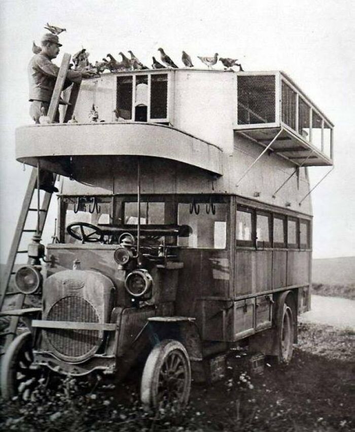 A “Pigeon Bus” From Wwi, Served As Collecting Point For Messenger Pigeons From The Front Lines