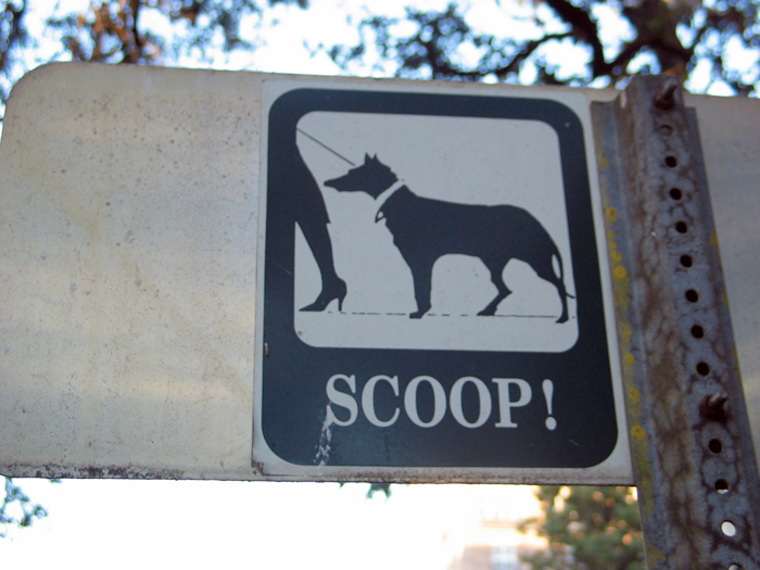 Man Never Wanted A Dog But Allowed His Wife And Kids To Have One As Long As They Took Care Of It, Gets Called A Jerk For Calling Out Their Neglect