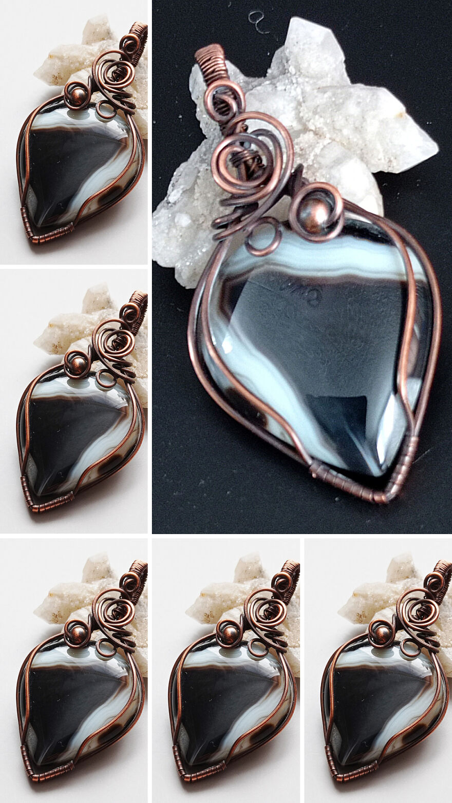 After 24 Hours, I Realized That They Are Alive!