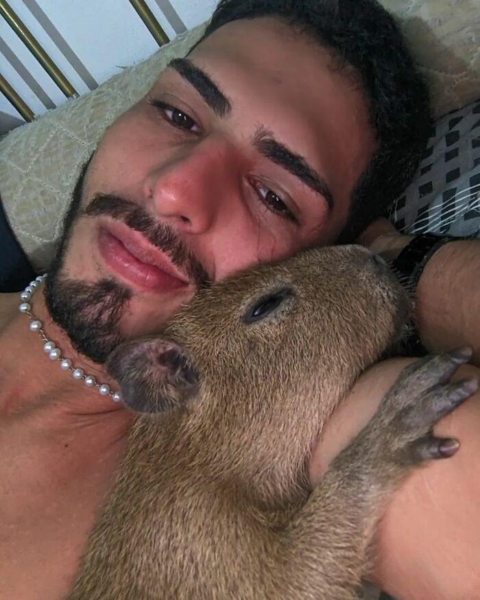 This Man From Brazil Who Lives On A Farm Shares A Beautiful Bond With A Rescued Capybara