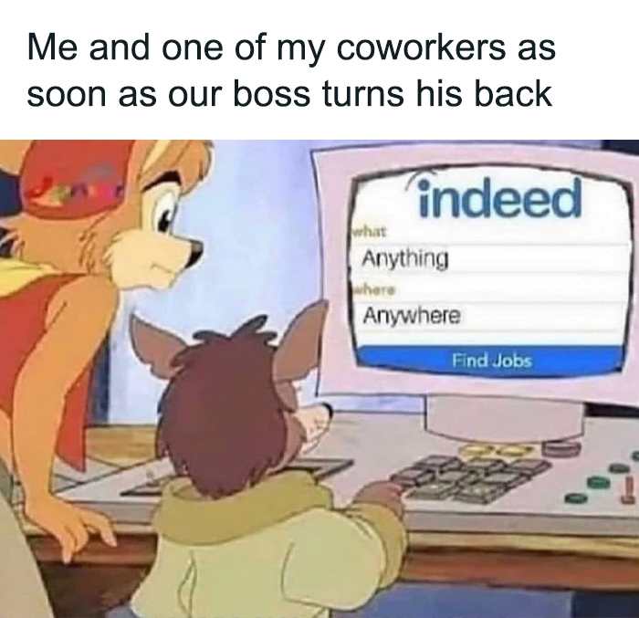 Cartoon animals at a computer with an Indeed job search, capturing a humorous work meme.