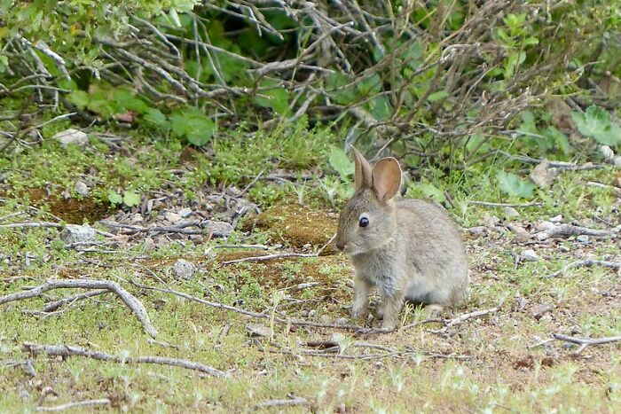 25 Terribles historias de convivencia gracias a compañeros de piso "monstruosos"