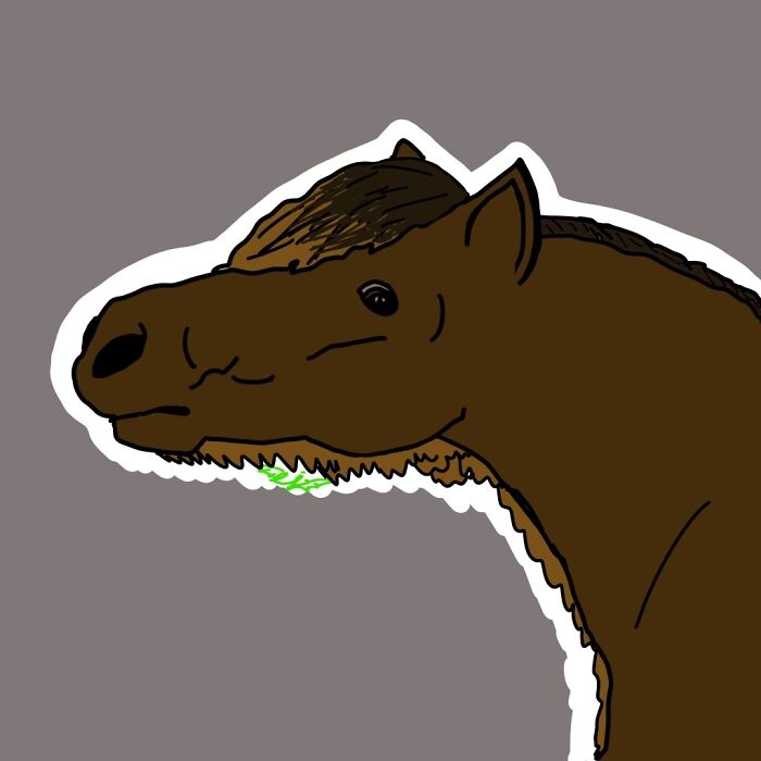 This Derpy Picture Of My Horse Stormy I Drew