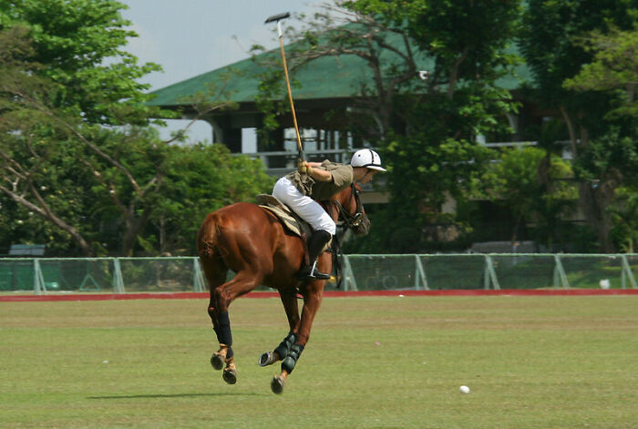 30 Hobbies Clearly Showing People Doing Them Are Insanely Rich, As Shared In This Online Community