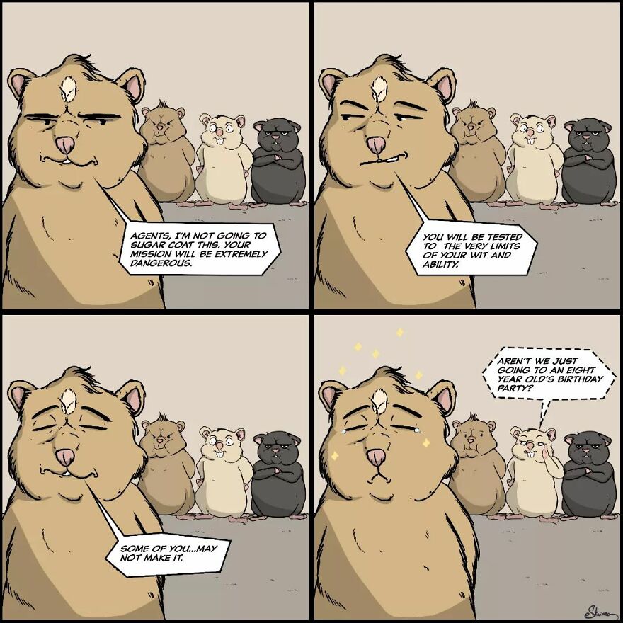 Special Op: Timmy's Birthday