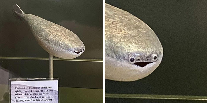 This Facebook Page Shares Images And Memes That Are Full Of Hilarious And Bizarre Things, Here Are 50 Of The Best Ones