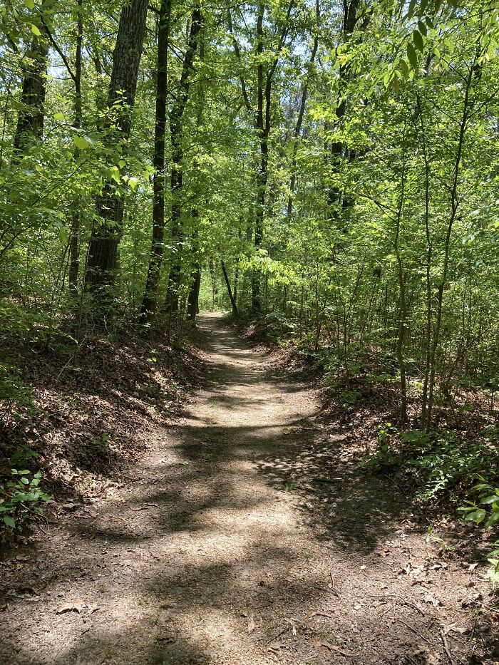 Nachaz Trace Parkway In The Summer