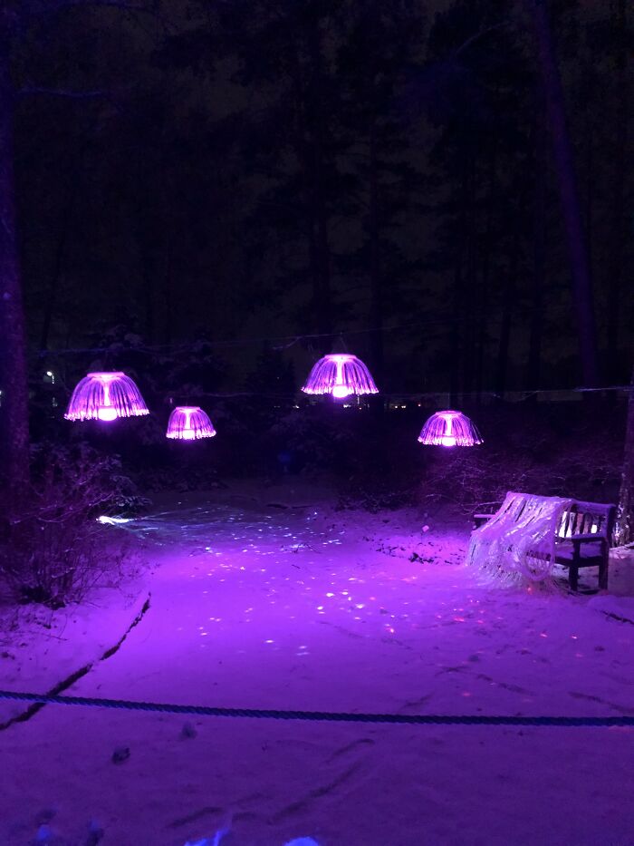 Taken During A Visit To Lumina Park In Lithuania