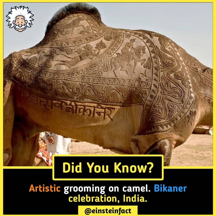 Interesting-Facts-Einsteinfact