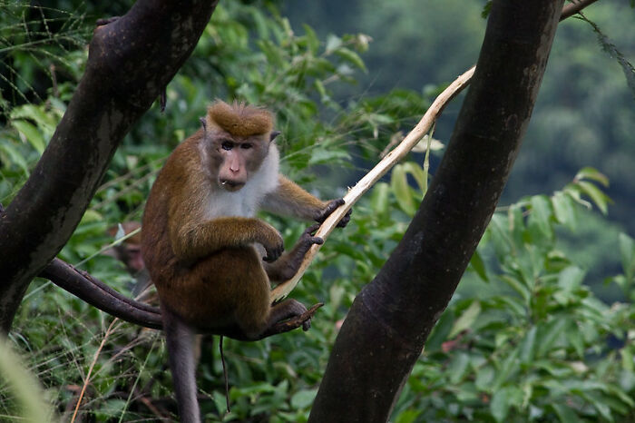 Someone Online Wondered “What Was Normal To You As A Kid, But You Later Realized How Messed Up It Actually Was?” And 40 Delivered