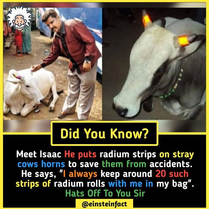 Interesting-Facts-Einsteinfact