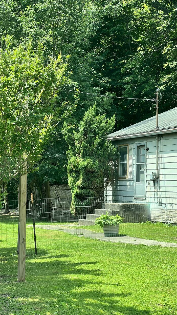 This Bush Sculpted To Look Like A Man Really Impressed Me Today