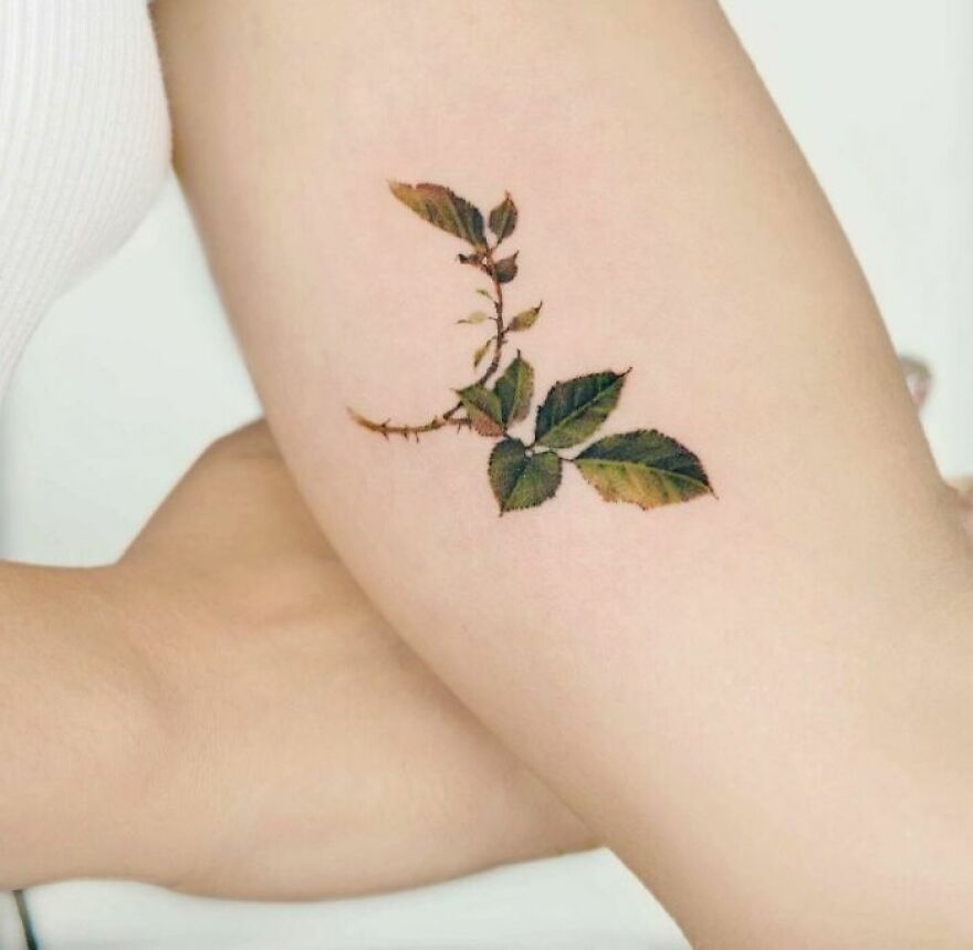 Delicate leaf watercolor tattoo on inner arm, showcasing intricate natural design.