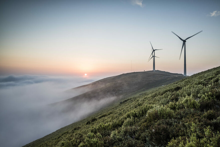 "Clean Energy" By Pedro De Oliveira Simões Esteves, 2022