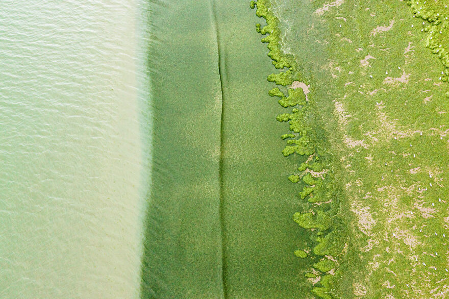 "Green Tide" By Yann Avril, 2021