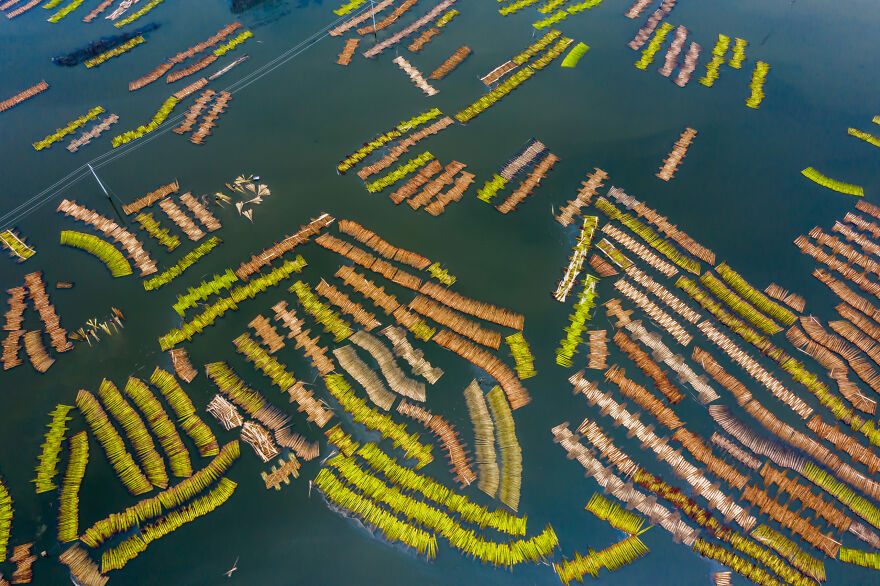 "Ecofriendly Jute Processing" By Ahsanul Haque Nayem, 2022
