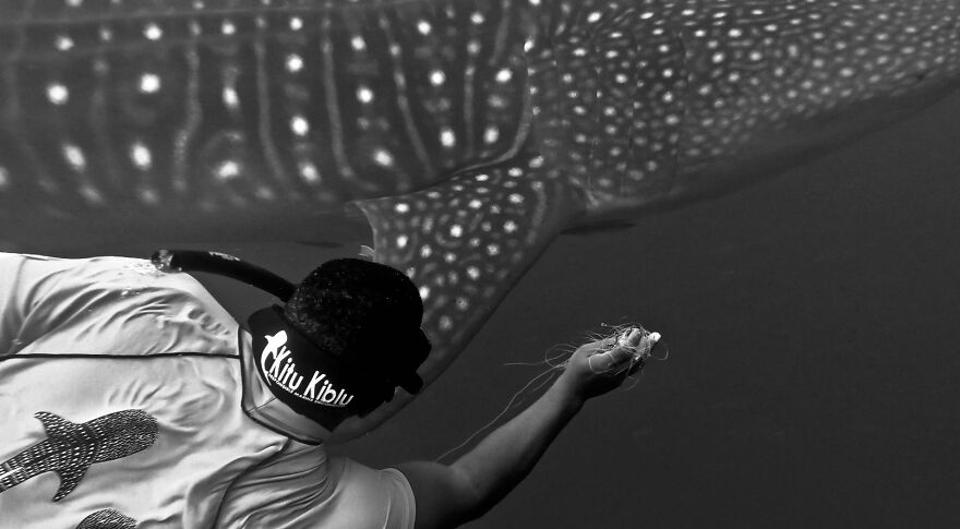 "Papa Potwe, 1." By Danielle Stanley, 2021