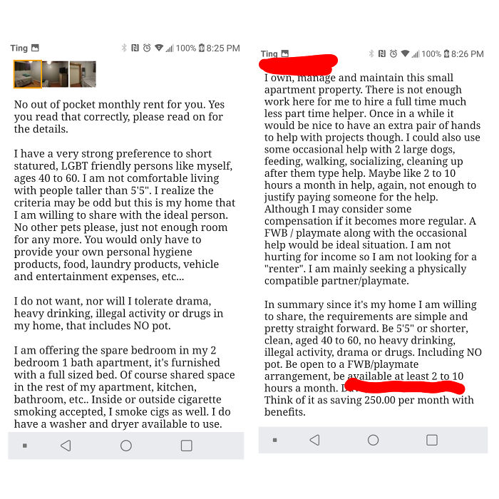 Roommate Wanted $0 - Craigslist Ad