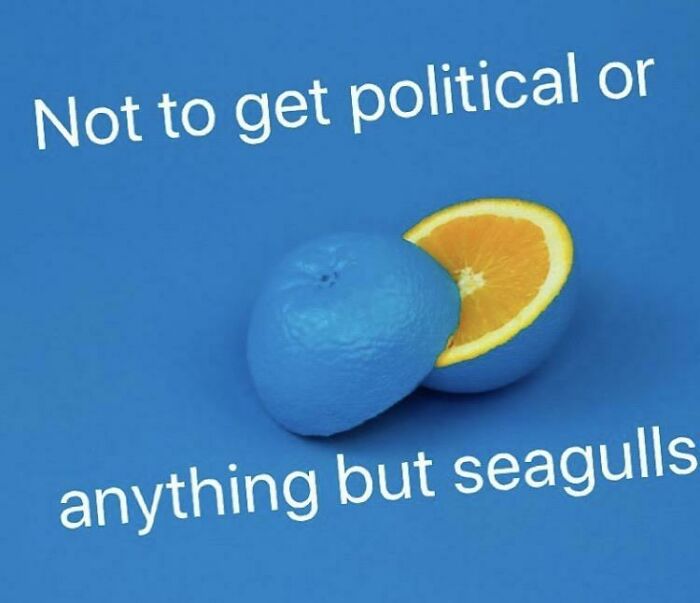 Not Funny, Didn’t Laugh