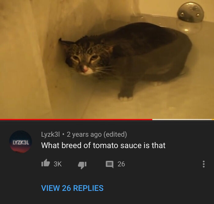 Tomato Sauce Lmao Hilarious