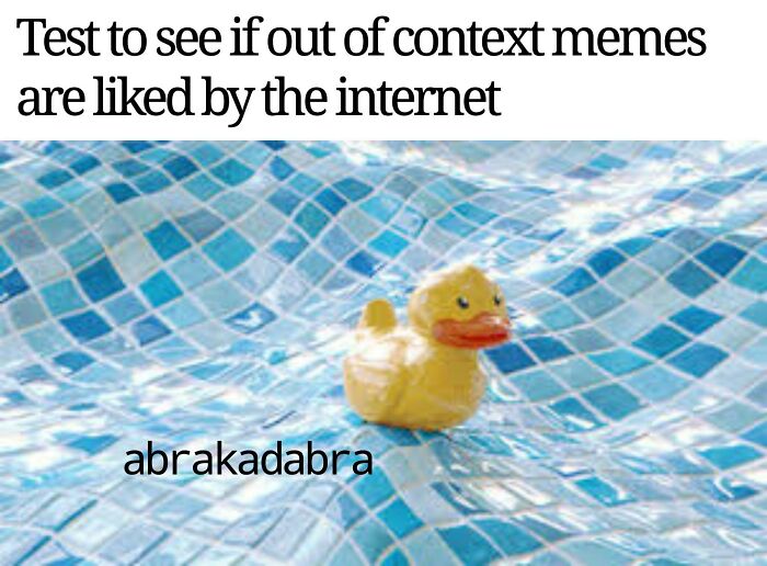  You’ll Never Be Dank Again