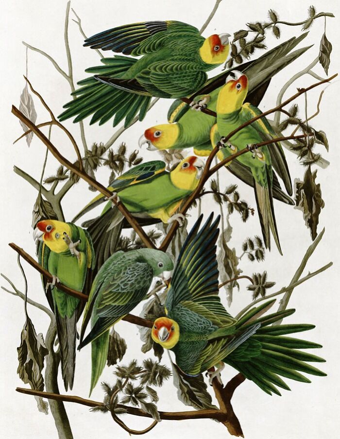 Watercolor painting of vibrant green parrots perched on branches.
