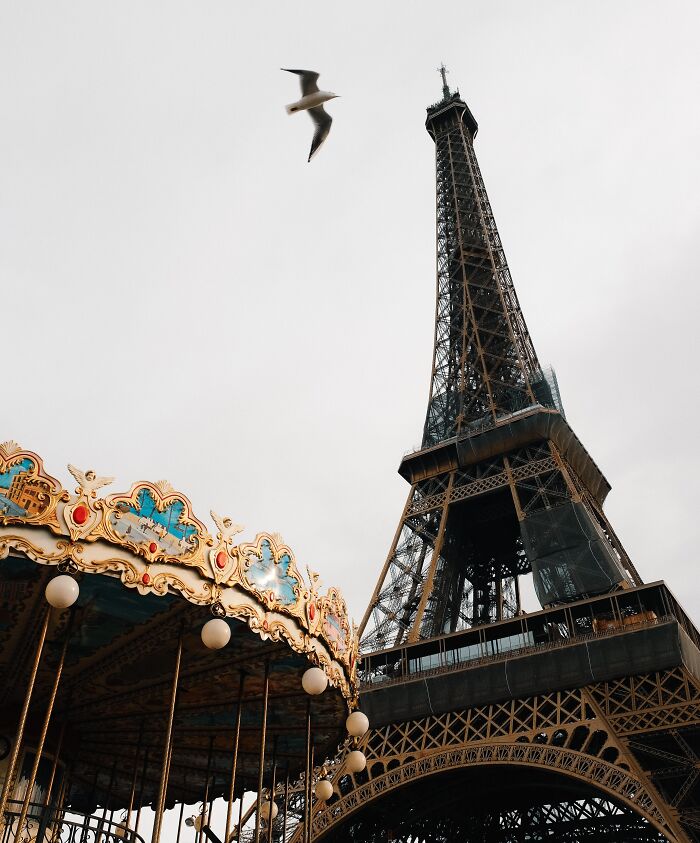 The Eiffel Tower from below 