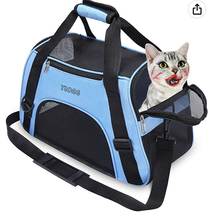 Cat Carrier