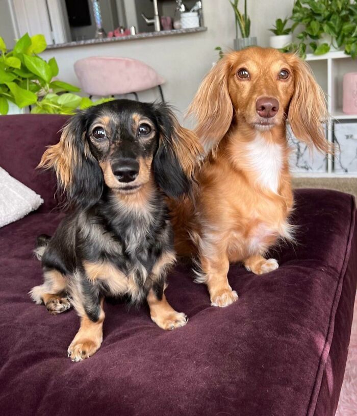 Pretty Girls Love Posing For Pictures