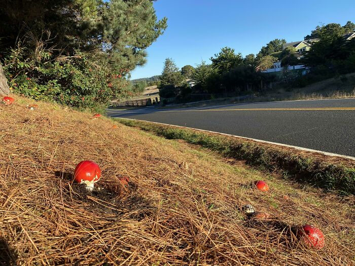 More Than 20 Ams This Morning In Front Of The Catholic Church In My Town. God Is Telling Us Something…