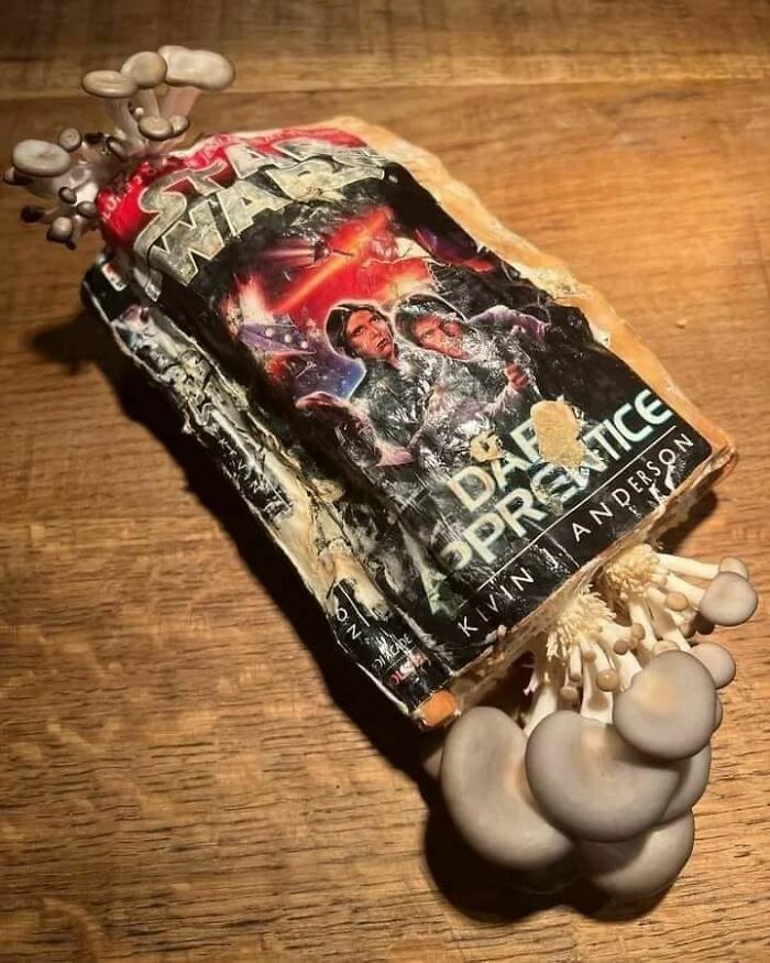 May The Spores Be With You