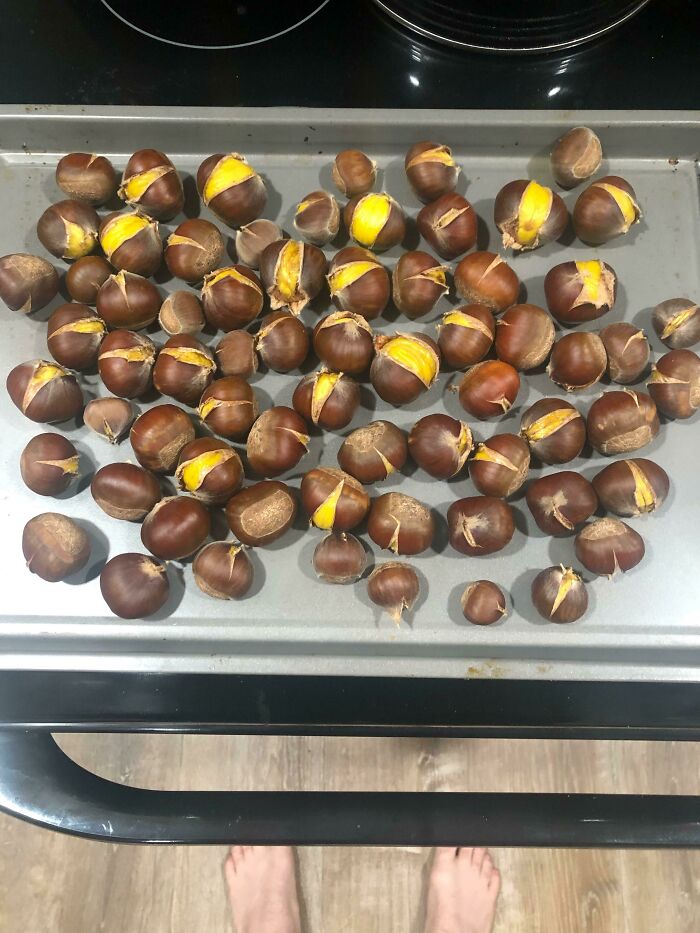 The Whole House Smells Amazing