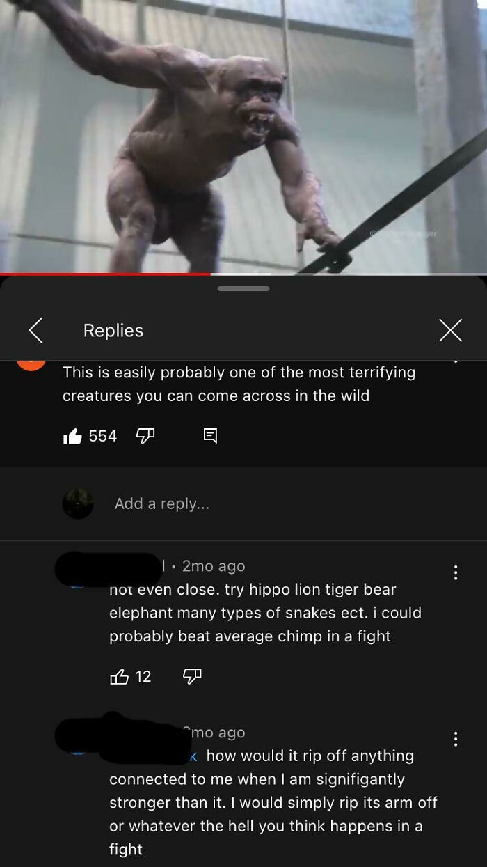 Amateur Mma Fighter Thinks He Can Take On A Chimpanzee