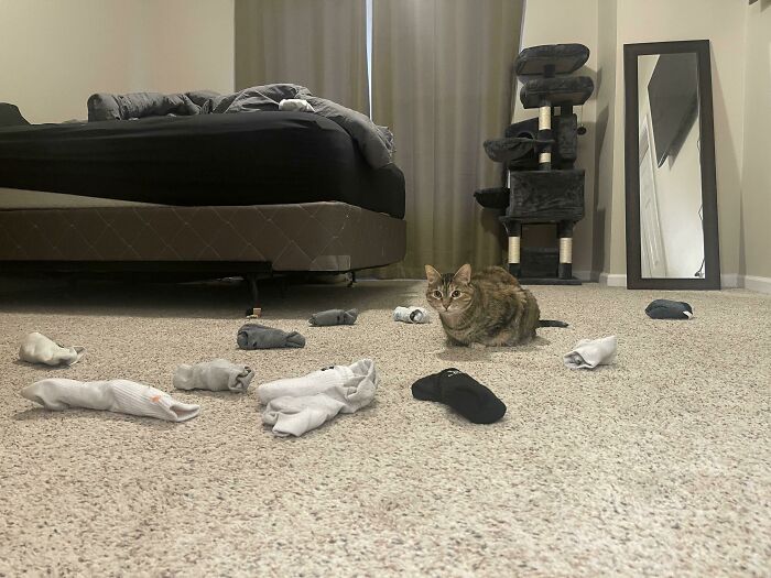 Here’s A Glimpse Of Everything She Brought Up Two Flights Of Stairs To Our Bedroom On Our First Night Back From Being Out Of Town