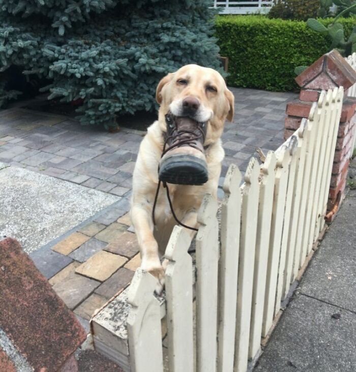 I Made A New Friend Today, He Brought Me A Gift