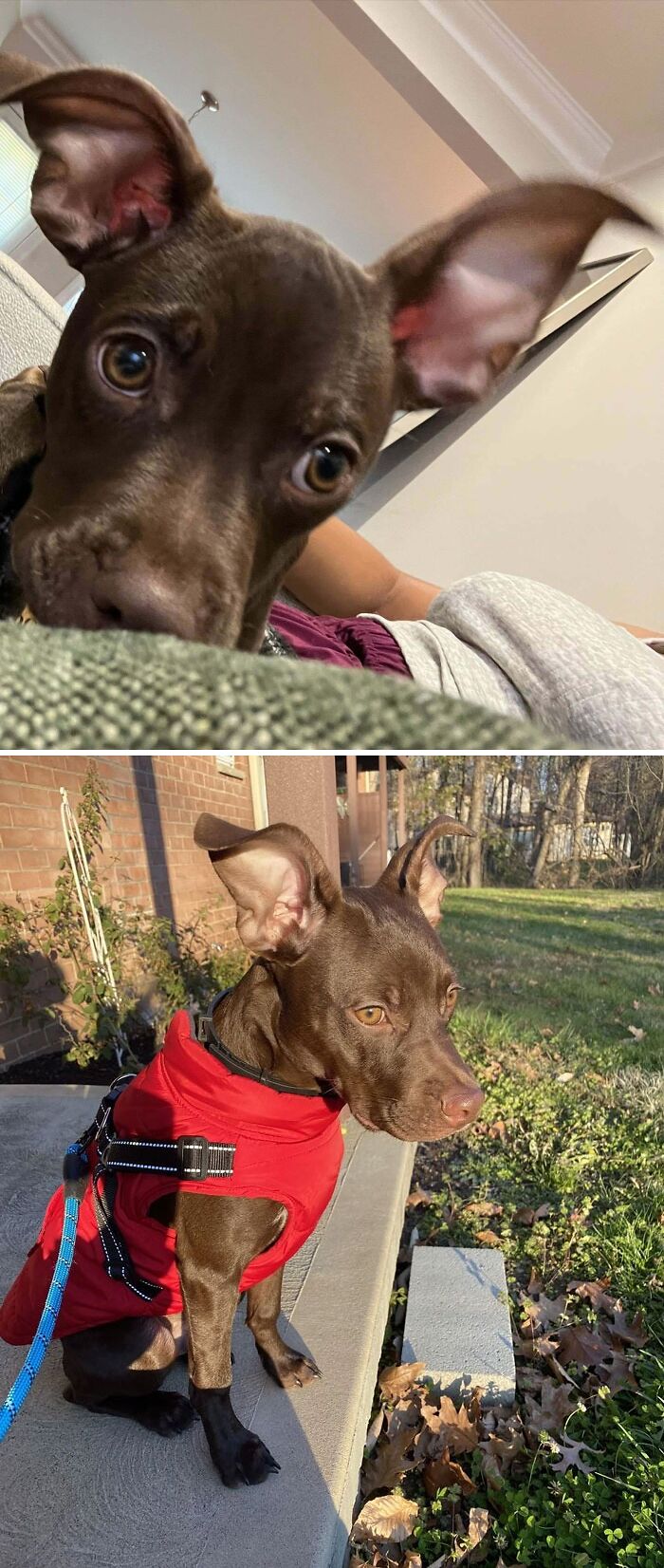 We Have Found Our People. My Little Deer In Headlights