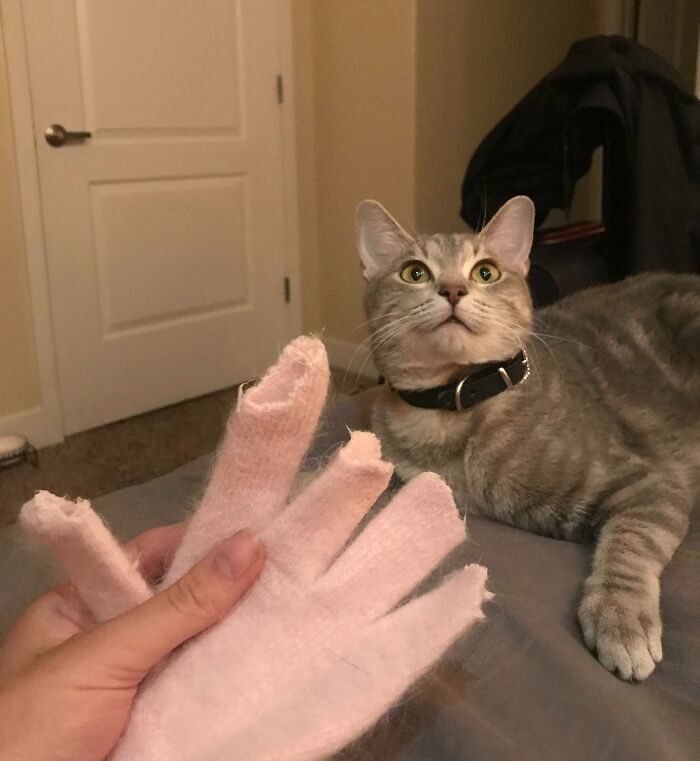 Woke Up This Morning To The Gift Of Fingerless Gloves. Thanks Sachi