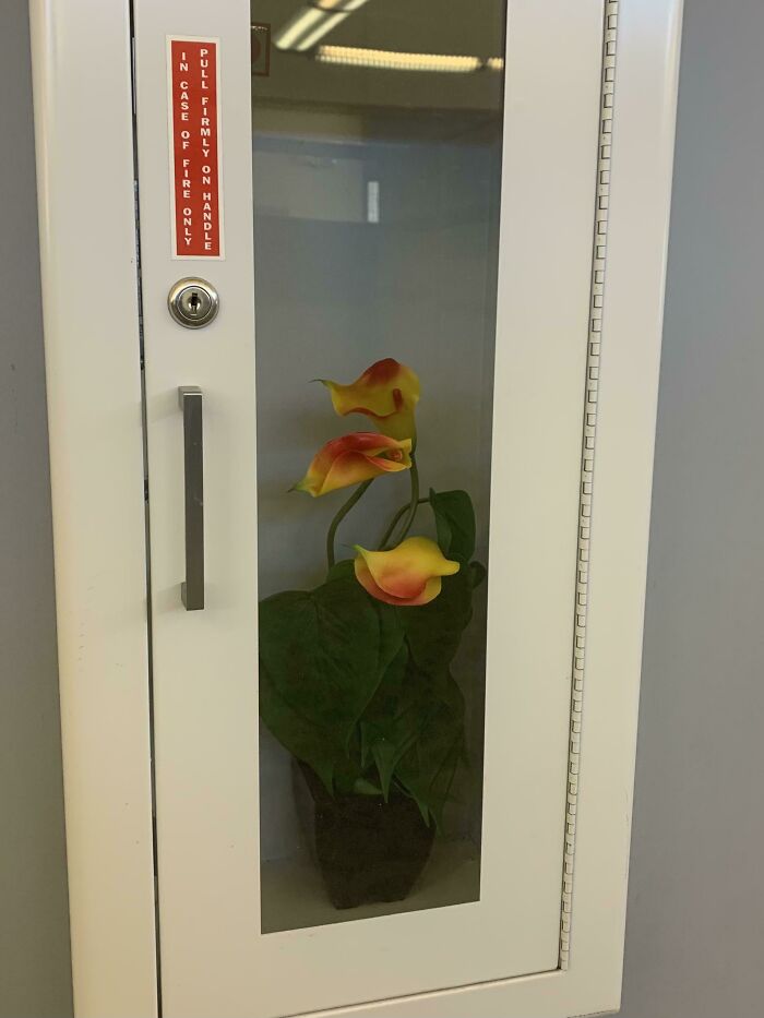 My Employer's Plan In Case Of A Fire?