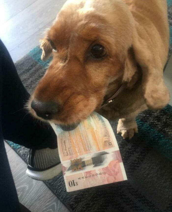 Honey Likes To Bring Me Presents When I Get Home, Today She Really Outdone Herself